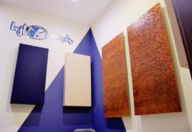 Acoustic Adaptation Bejf Records