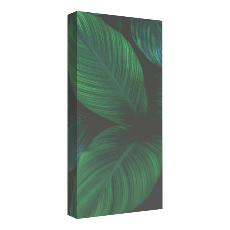 Acoustic Picture OUTLET - Nature_1, 100 × 50 cm, 11 cm