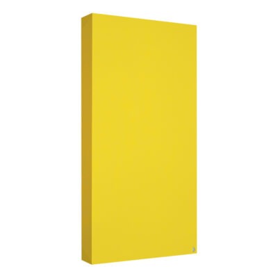 2 x Standard Absorber 100x50x11 Yellow
