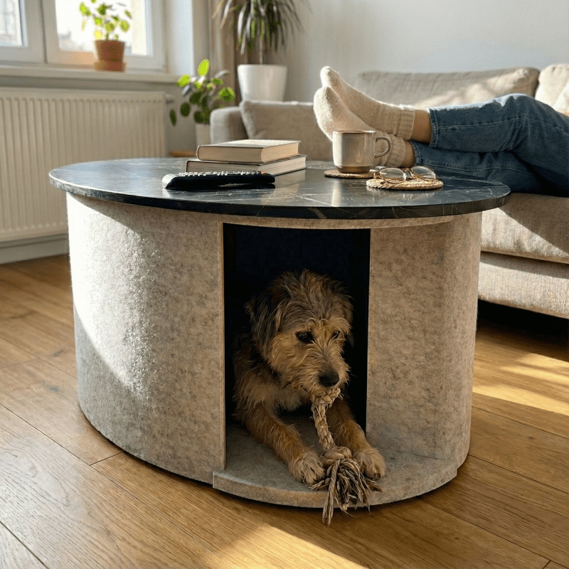 The acoustic kennel as a coffee table next to a sofa